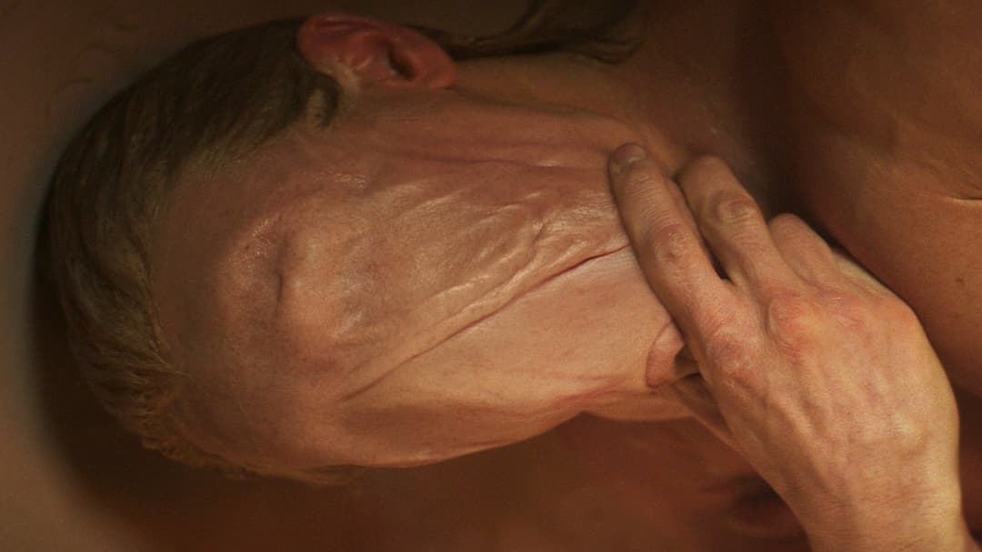 image is not available for this content