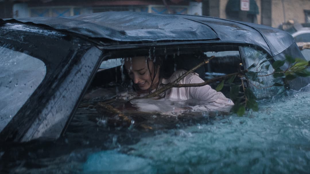 image is not available for this content