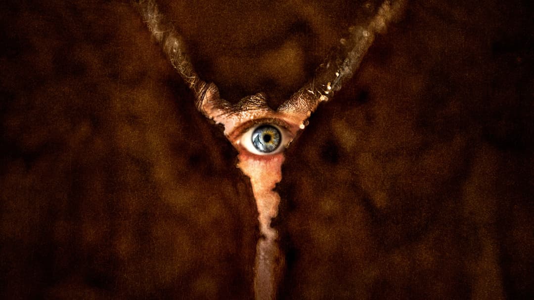 image is not available for this content