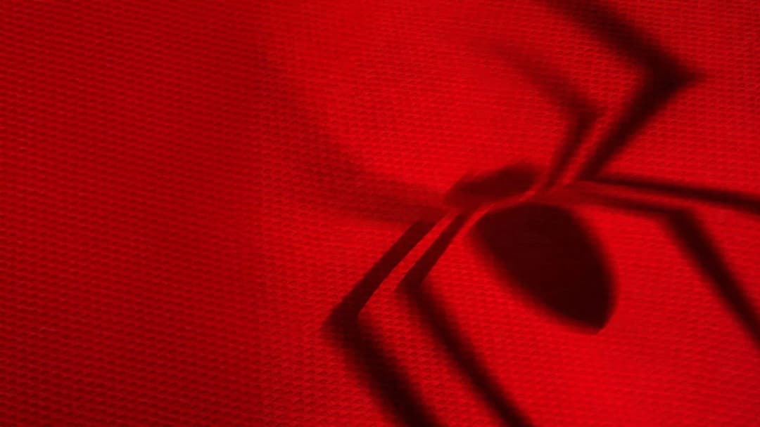 image is not available for this content